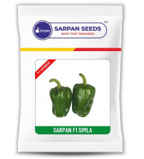 Baby Capsicum Sarpan Simla 30 grams